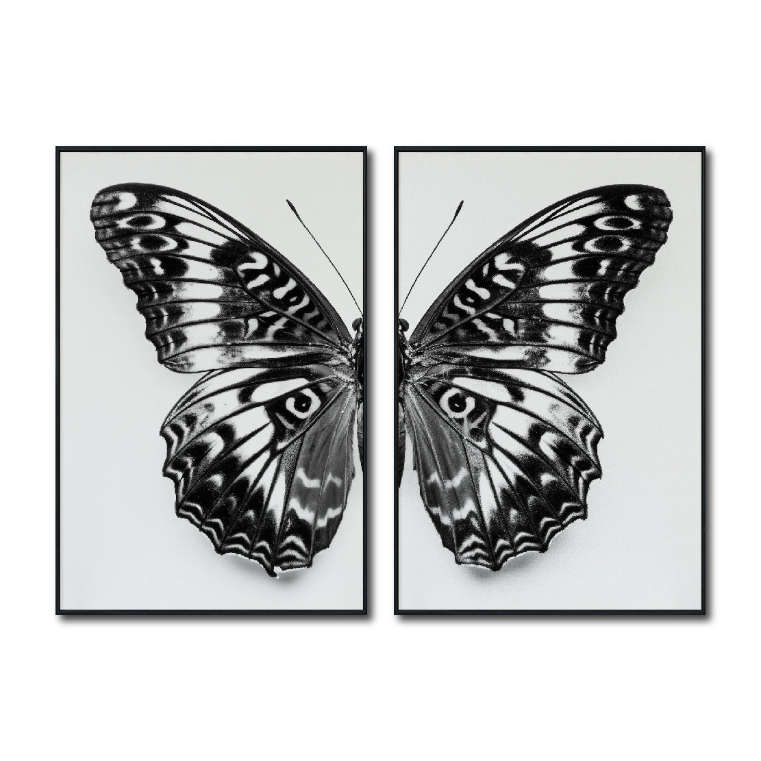 Set 2 Cuadros Decorativos Alas 016