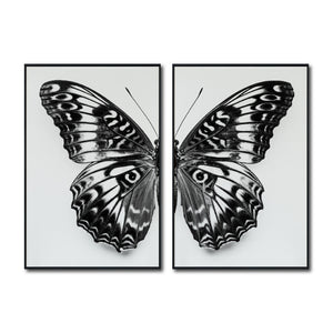 Set 2 Cuadros Decorativos Alas 016