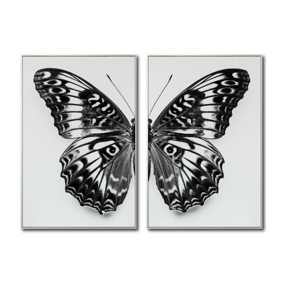 Set 2 Cuadros Decorativos Alas 016
