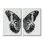 Cargar imagen en el visor de la galería, Set 2 Cuadros Decorativos Alas 016
