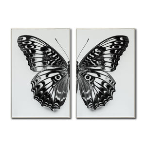 Set 2 Cuadros Decorativos Alas 016
