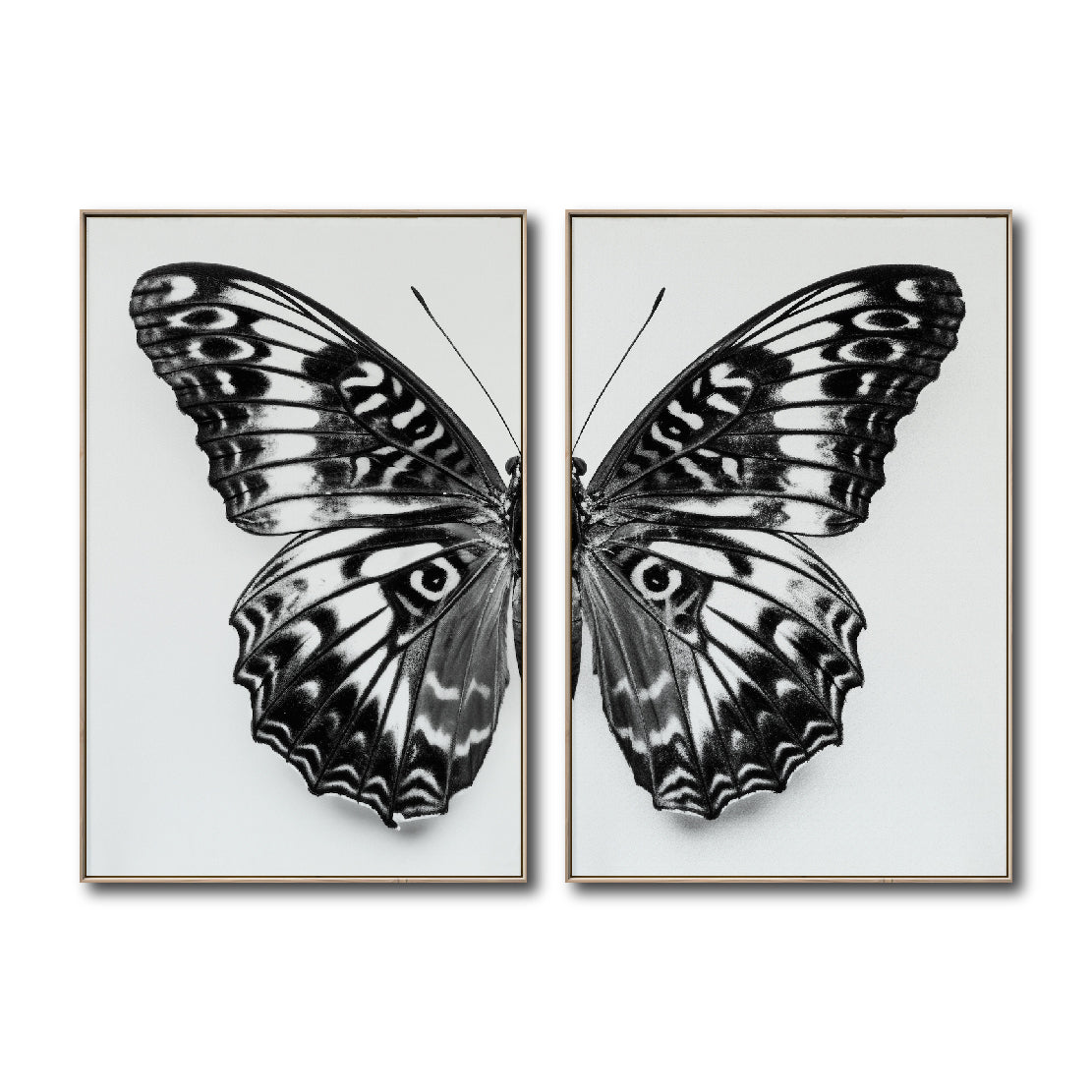 Set 2 Cuadros Decorativos Alas 016