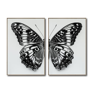 Set 2 Cuadros Decorativos Alas 016