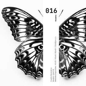 Set 2 Cuadros Decorativos Alas 016