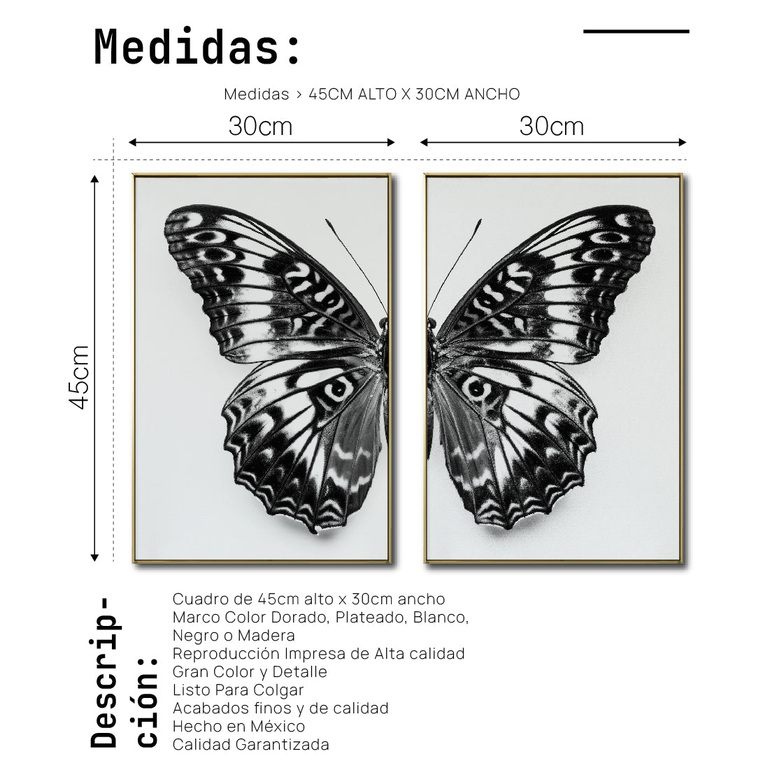 Set 2 Cuadros Decorativos Alas 016