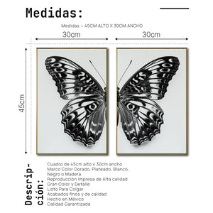 Set 2 Cuadros Decorativos Alas 016