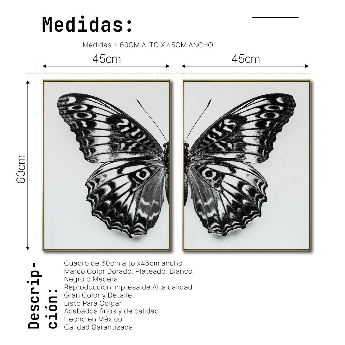 Set 2 Cuadros Decorativos Alas 016