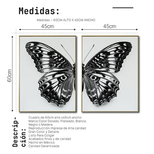 Set 2 Cuadros Decorativos Alas 016