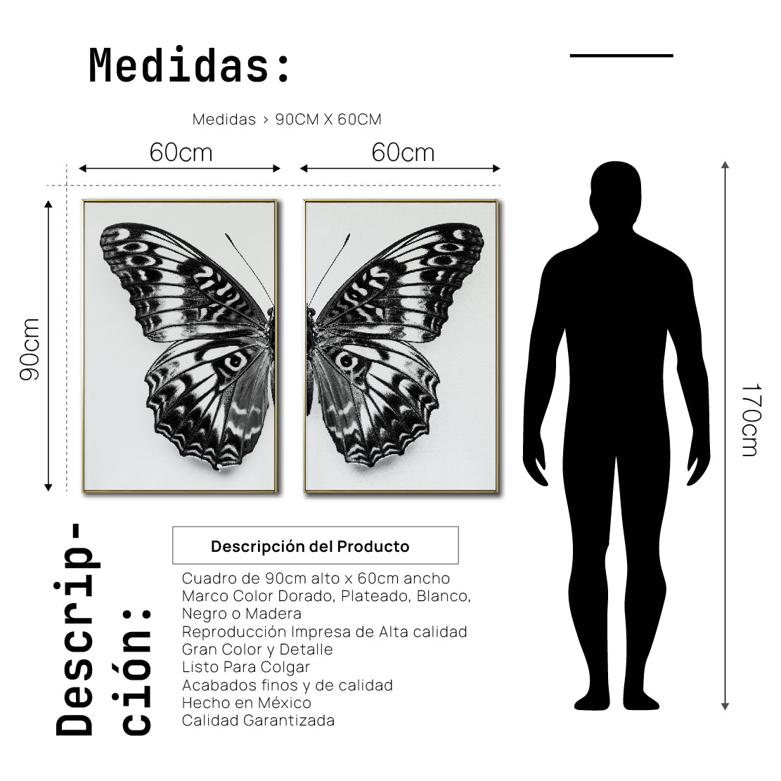 Set 2 Cuadros Decorativos Alas 016