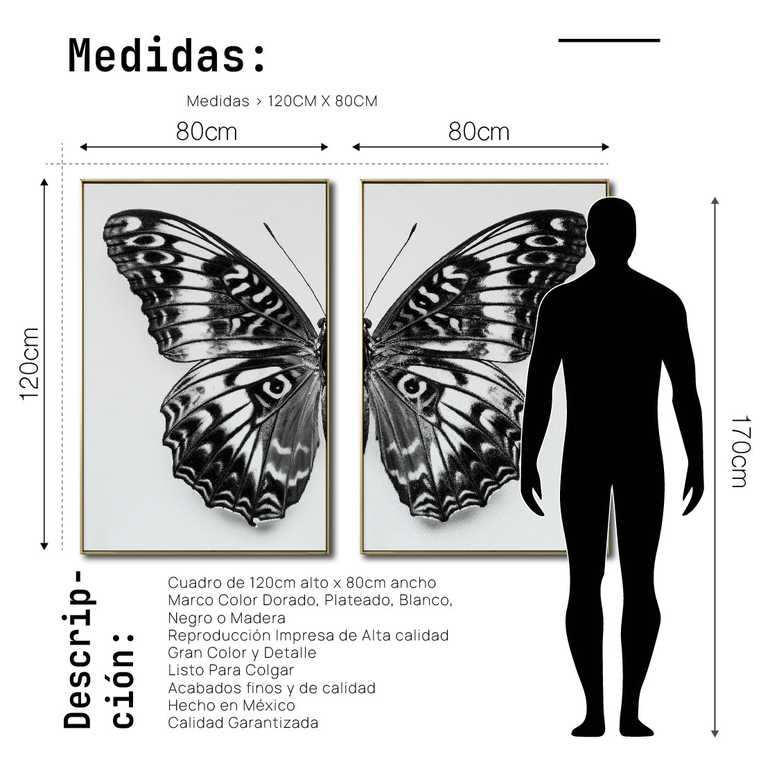 Set 2 Cuadros Decorativos Alas 016