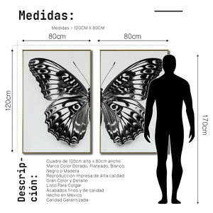 Set 2 Cuadros Decorativos Alas 016