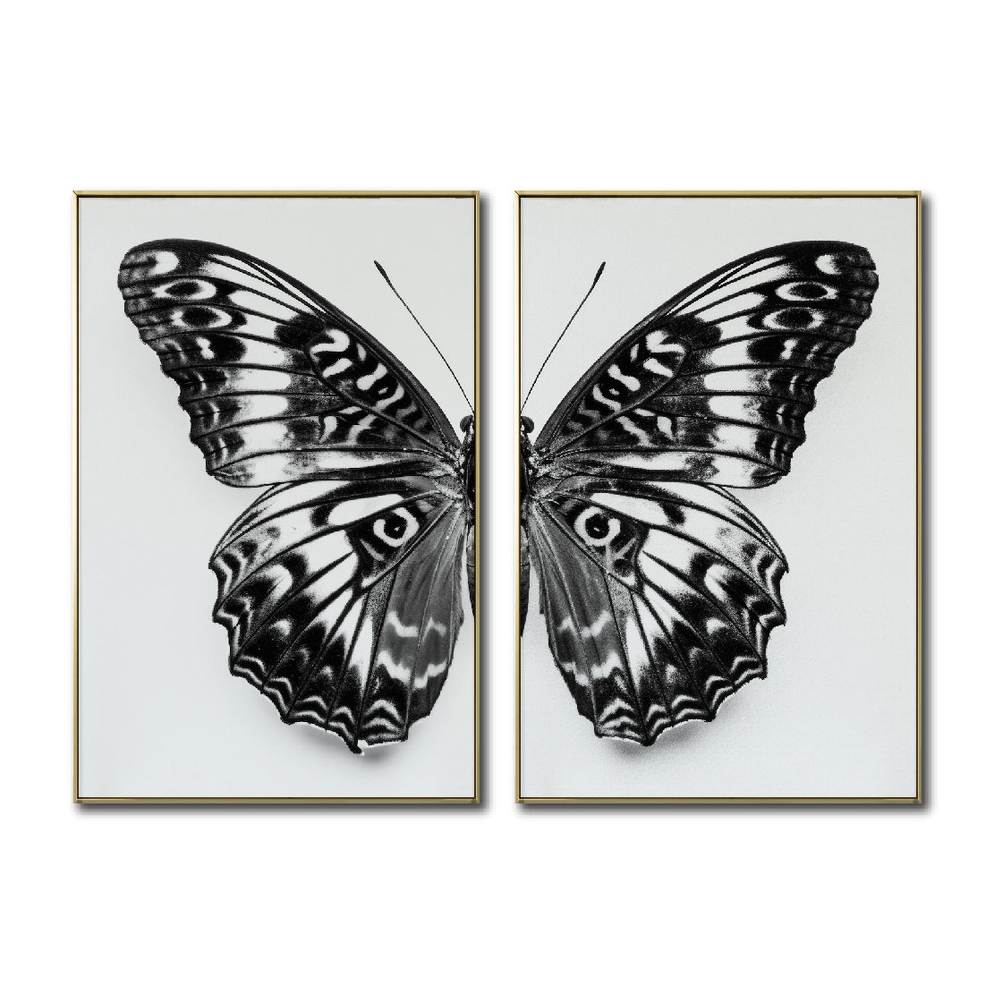 Set 2 Cuadros Decorativos Alas 016