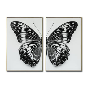 Set 2 Cuadros Decorativos Alas 016