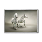 Cargar imagen en el visor de la galería, Cuadro Decorativo Caballos 016
