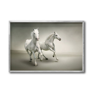 Cuadro Decorativo Caballos 016