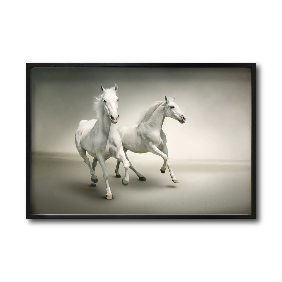 Cuadro Decorativo Caballos 016