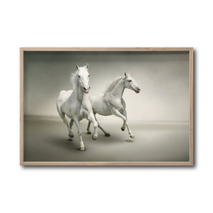 Cuadro Decorativo Caballos 016