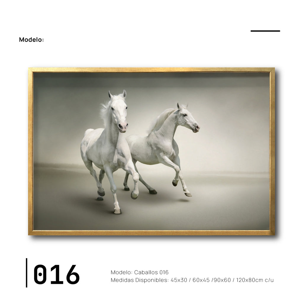 Cuadros Canvas de Caballos para sala en CDMX. Galería 314. Caballos libres.