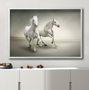 Cuadro Decorativo Caballos 016