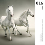 Cargar imagen en el visor de la galería, Cuadro Decorativo Caballos 016
