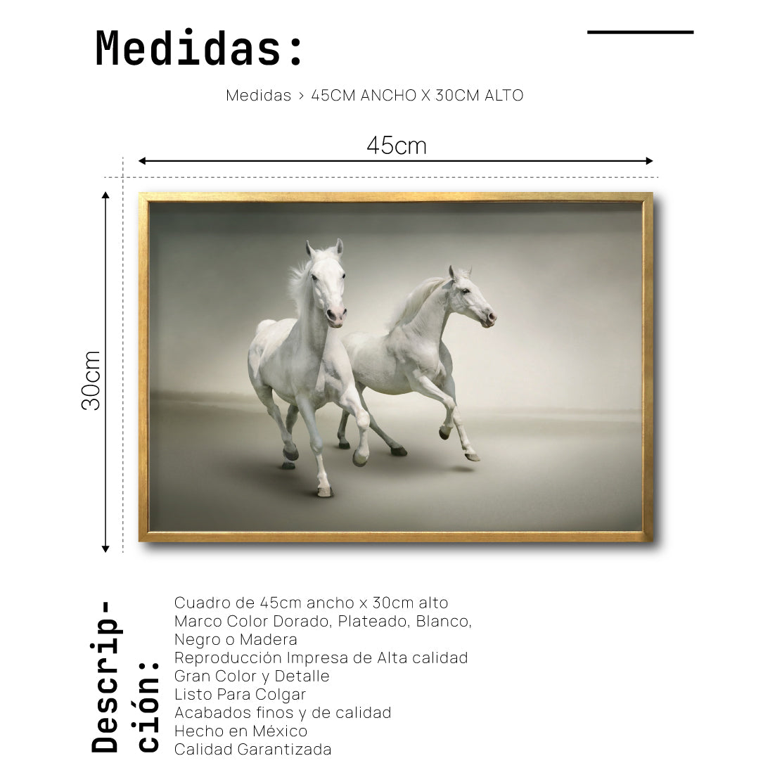 Cuadro Decorativo Caballos 016