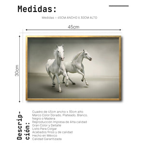Cuadro Decorativo Caballos 016