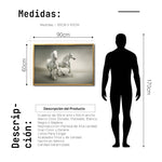 Cargar imagen en el visor de la galería, Cuadro Decorativo Caballos 016
