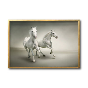 Cuadro Decorativo Caballos 016