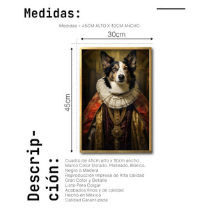 Cuadro Decorativo Perros Epoca 017 - Collie Aristócrata