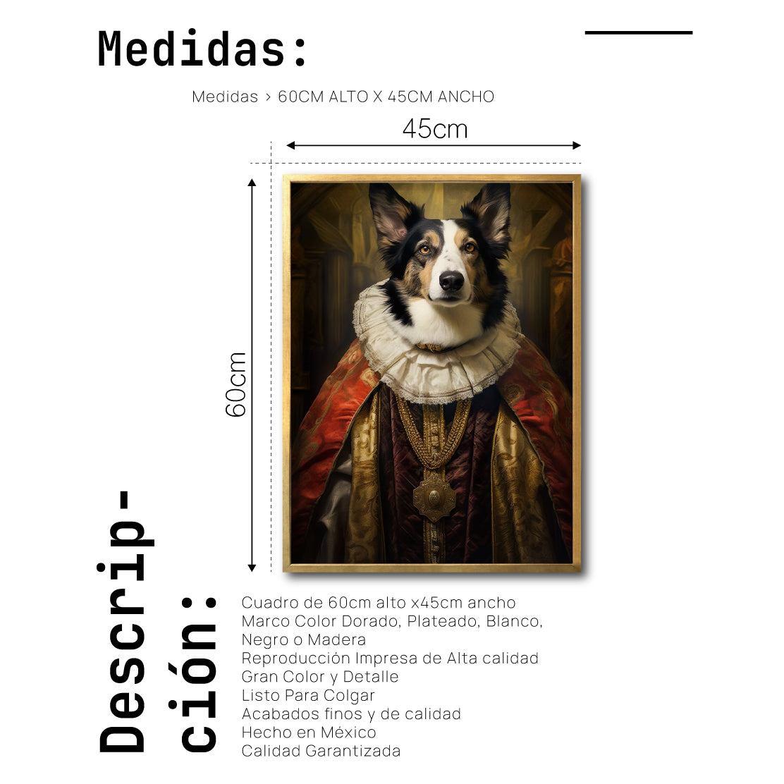 Cuadro Decorativo Perros Epoca 017 - Collie Aristócrata