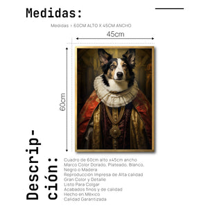 Cuadro Decorativo Perros Epoca 017 - Collie Aristócrata