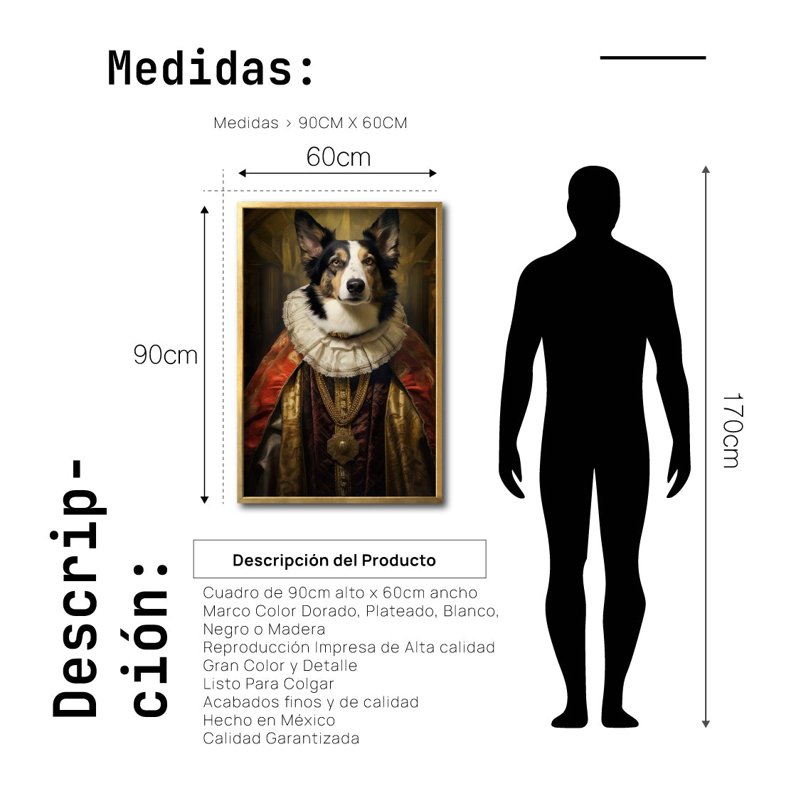 Cuadro Decorativo Perros Epoca 017 - Collie Aristócrata