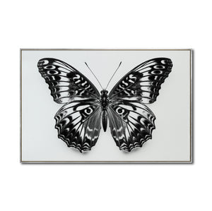 Cuadro Decorativos Alas 017