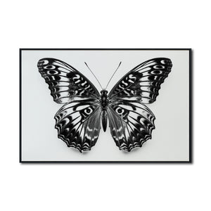 Cuadro Decorativos Alas 017