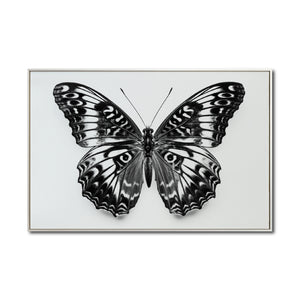 Cuadro Decorativos Alas 017