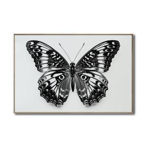 Cuadro Decorativos Alas 017
