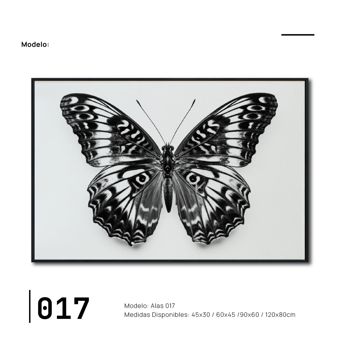 Cuadro Decorativos Alas 017