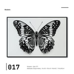 Cargar imagen en el visor de la galería, Cuadro Decorativos Alas 017
