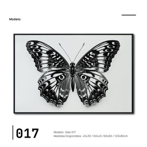 Cuadro Decorativos Alas 017
