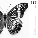 Cargar imagen en el visor de la galería, Cuadro Decorativos Alas 017
