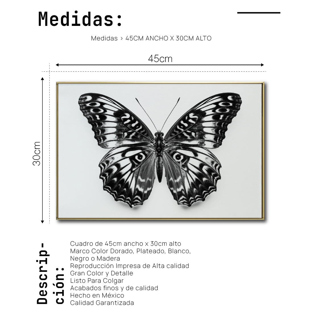 Cuadro Decorativos Alas 017