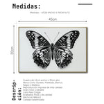 Cargar imagen en el visor de la galería, Cuadro Decorativos Alas 017
