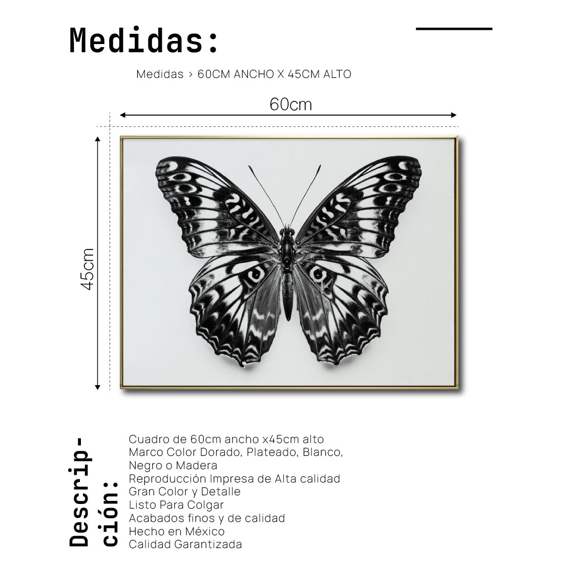 Cuadro Decorativos Alas 017