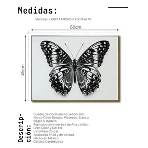 Cuadro Decorativos Alas 017
