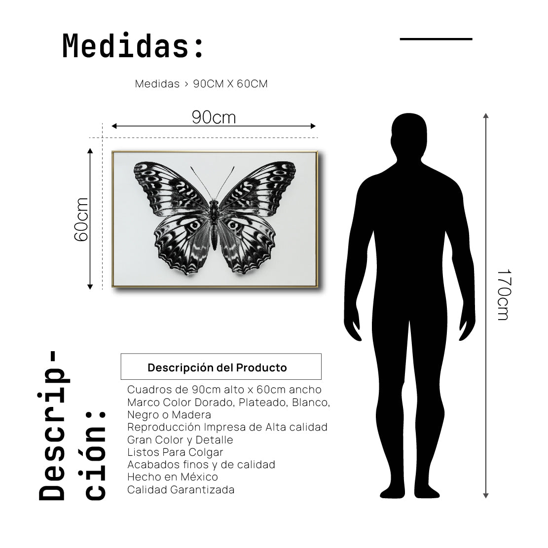 Cuadro Decorativos Alas 017