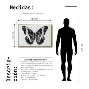 Cuadro Decorativos Alas 017