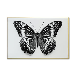 Cuadro Decorativos Alas 017