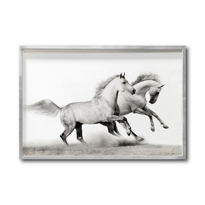 Cuadro Decorativo Caballos 017