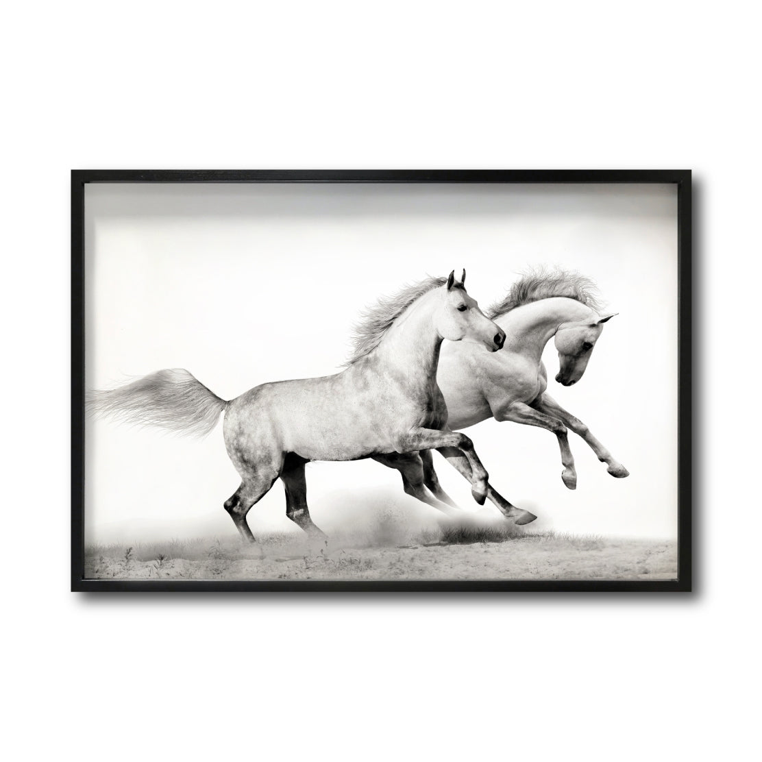 Cuadro Decorativo Caballos 017