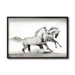 Cargar imagen en el visor de la galería, Cuadro Decorativo Caballos 017
